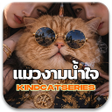Icoon van programma: แมวงามนำใจซรย