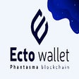 Ecto Wallet