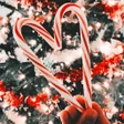 程序图标：Christmas Wallpaper