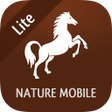 Programikonen: iKnow Horses 2 LITE