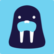 Icon of program: walrus.ai