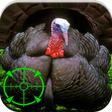Icon of program: Turkey Hunting Calls