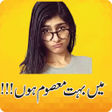 Programikonen: Funny Urdu Stickers WASti…