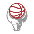 Ícone do programa: Basketbull Live