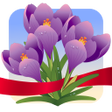 Icon of program: Spring Photo Frames