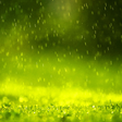 Programikonen: Rain Live Wallpaper