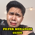 プログラムのアイコン：Filters Crying Guide