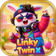 Ikon program: Linky TwinX