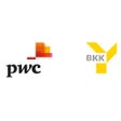 程序图标：BKK PwC