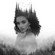 Programikonen: Double Exposure