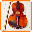Learn to play violin step by s