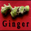 Icoon van programma: Ginger