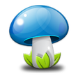 Icon of program: Výskyt húb