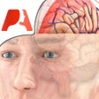 أيقونة البرنامج: Pocket Brain