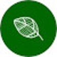 程序图标：Reforesty