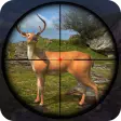 Deer Hunting 3d