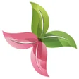 Icon of program: DermoEczanem