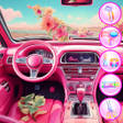 Programikonen: Animals Car Salon Cleanin…
