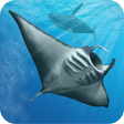 Programikonen: Ocean Dream