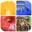 Icoon van programma: Close Up - whats is pictu…