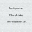 Programmsymbol: Copy Image URL