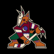 程序图标：Arizona Coyotes