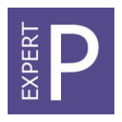 Icon of program: Project Expert - первый ш…