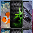 Иконка программы: Live Wallpaper iPhone 13 …