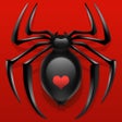 プログラムのアイコン：Classic Spider Solitaire