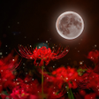 Icon of program: Red Spider Lily Theme