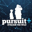 程序图标：PursuitUP