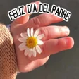 Icono de programa: Feliz día del padre. Post…