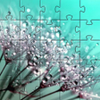 Programikonen: Nature jigsaw puzzles gam…