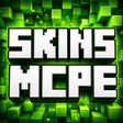 Иконка программы: Skins for Minecraft MCPE