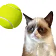 Cat Playing Tennis