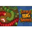 Little Big Snake Game New Tab