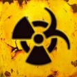Icon of program: The Survivor: Rusty Forest