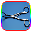 プログラムのアイコン：Medical  Surgical Instrum…