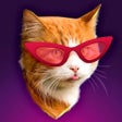 程序图标：Make Your Pet Talk: Filte…