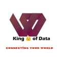 プログラムのアイコン：King Of Data