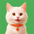 أيقونة البرنامج: My virtual pet Cat Games