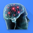 ไอคอนของโปรแกรม: IQ Test- What is your wis…