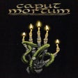 程序图标：Caput Mortum