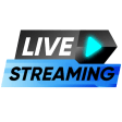 Live Streaming Player