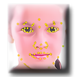 Icon of program: Fun Morph