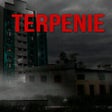 Programikonen: Terpenie