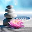 Иконка программы: Zen Live Wallpaper