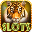Ikon program: Bengal Tiger In the Woods…