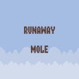 ไอคอนของโปรแกรม: Runaway Mole