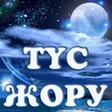 Иконка программы: Түс жору